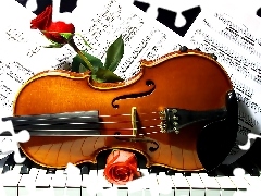 violin, Tunes, roses, Piano