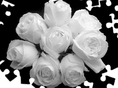 Black and white, bouquet, roses