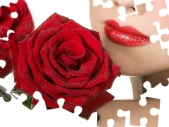 Women, Red, roses, lips