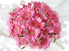 bouquet, Gerbers, rouge, pink