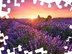 trees, viewes, rays of the Sun, ruin, Sunrise, lavender, Field, house