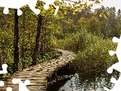 rushes, viewes, Plitvice Lakes National Park, Platform, trees, lake, Coartia