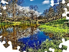 rushes, Spring, trees, viewes, River