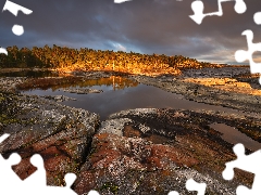 trees, Lake Ladoga, Karelia, rocks, autumn, viewes, Russia