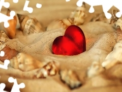 Sand, Heart, Shells