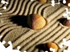 Shells, Sand