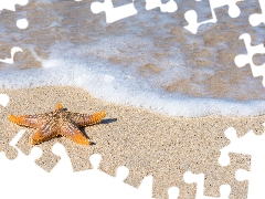 Sand, starfish, water