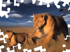 savanna, stretching, lions
