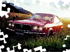 grass, Mazda RX-3, Savanna