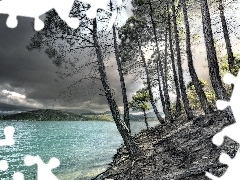 lake, pine, scarp, clouds