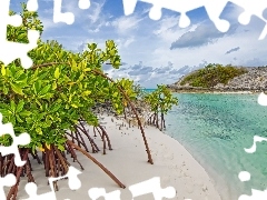 Gulf, Sky, scrub, Beaches