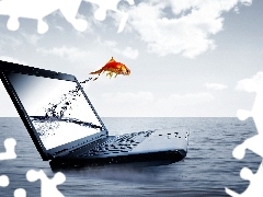 sea, laptop, fish