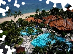 Hotel hall, Palms, sea, Pool