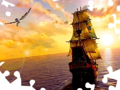 seagull, sailing vessel, sea