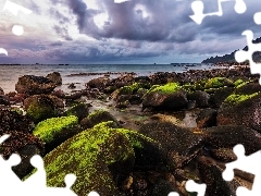 Stones, sea