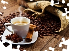 seed, cup, coffee