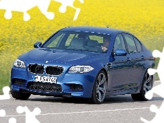 BMW F10, serie 5