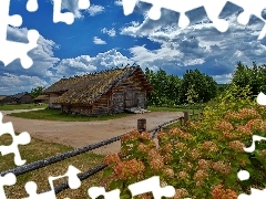 hydrangeas, Sky, Sheds, clouds