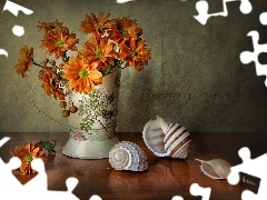 composition, Vase, Shells, daisy