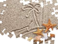 Sand, starfish, composition, Shells