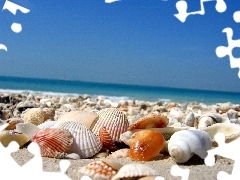 Shells, sea, Sand