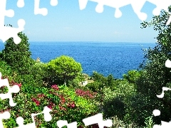 sea, VEGETATION, Sicilia, Flowers