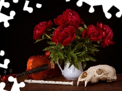 skull, compositions, Peonies, violin, Flowers