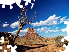 arid, canyon, Sky, trees