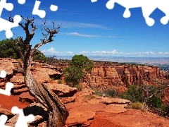 canyons, viewes, Sky, trees