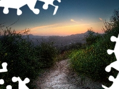 Field, Bush, Sky, Path