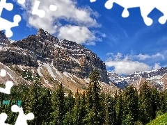 Sky, rocks, forest