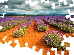 lavender, clouds, Sky, Sand