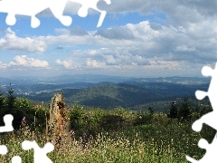 Meadow, Mountains, Sky, woods