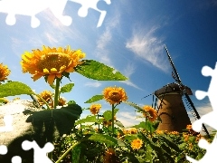 Windmill, Nice sunflowers, Sky