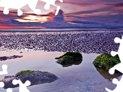 sea, Stones, Sky, Beaches