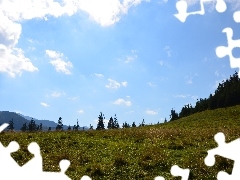 Sky, Meadow, Zakopane