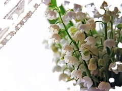 curtain, lilies, small bunch