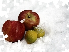 snow, apples, Amaranth