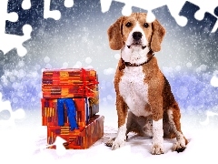 Beagle, incident, snow, gifts