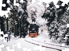 snow, Train, forest, People, winter