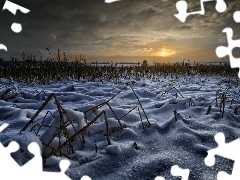 snow, winter, sun, field, west
