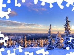 snow, winter, sun, Spruces, west