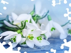 Bench, small bunch, snowdrops