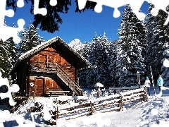 Snowy, Conifers, wooden, house, winter