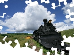 snowy, locomotive, plough
