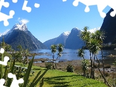 Milford Sound, New Zeland, Mountains, VEGETATION, lake