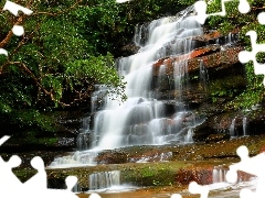 Brisbane Water National Park, New South Wales