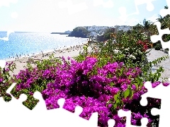 sea, Flowers, Spain, Beaches