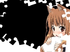 form, Spice and Wolf