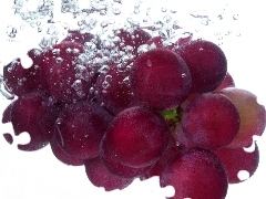 spray, fresh, Grapes